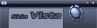 Skin-Vista